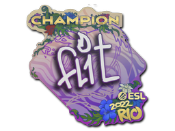 FL1T (Champion) | Rio 2022 -  CS:GO/CS 2