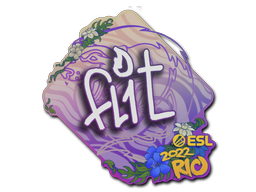 FL1T | Rio 2022 -  CS:GO/CS 2