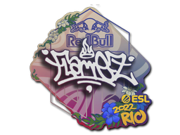 FlameZ | Rio 2022 -  CS:GO/CS 2