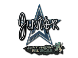 junior | Антверпен 2022 -  CS:GO/CS 2