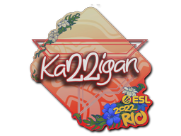 karrigan | Rio 2022