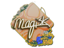 Magisk | Rio 2022 -  CS:GO/CS 2