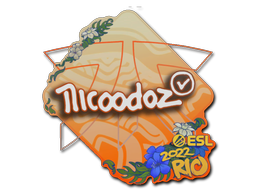 nicoodoz | Rio 2022 -  CS:GO/CS 2