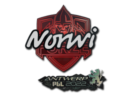 Norwi | Антверпен 2022 -  CS:GO/CS 2