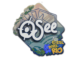 oSee | Rio 2022 -  CS:GO/CS 2