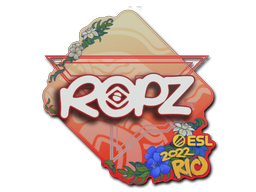 ropz | Rio 2022