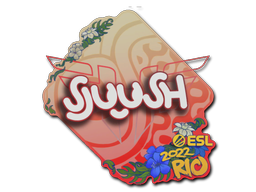 sjuush | Rio 2022 -  CS:GO/CS 2