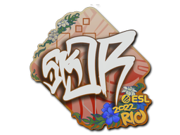 sk0R | Rio 2022 -  CS:GO/CS 2