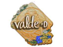 v4lde | Rio 2022