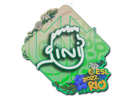 VINI | Rio 2022 -  CS:GO/CS 2