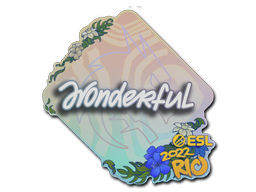 w0nderful | Rio 2022 -  CS:GO/CS 2