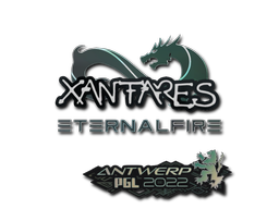 XANTARES | Антверпен 2022 -  CS:GO/CS 2