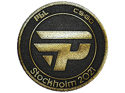 paiN Gaming (Gold) | Stockholm 2021 -  CS:GO/CS 2