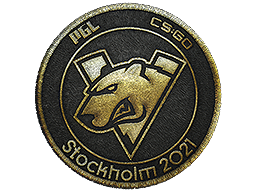 Virtus.Pro (Gold) | Stockholm 2021 -  CS:GO/CS 2