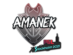 AMANEK | Стокгольм 2021 -  CS:GO/CS 2