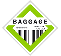 Коллекция «Baggage»